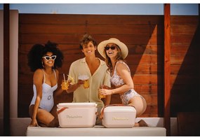 Cutie termoizolantă roz prăfuit 12 l Classic – Polarbox