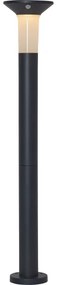 Eglo 900244 - Lampă solară LED de exterior cu senzor, 6 x LED, 0,03 W / 3,7 V, IP44