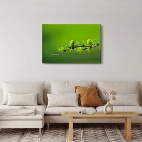 Tablou con verde (90x60 cm)