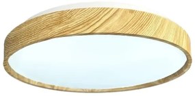 Plafonieră LED dimabilă OPAL LED/48W/230V 3000-6500K + telecomandă