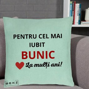 Cadou pentru Bunic - Perna Personalizata Pentru Cel Mai Iubit Bunic La Multi Ani Rosu, 40x40 cm, Verde Menta, Husa Detasabila, Perna Inclusa, BEKZ®