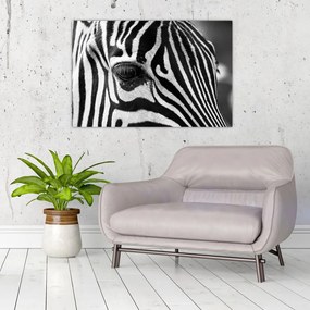 Tablou cu zebră (90x60 cm)