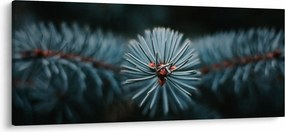 Tablou -Crenguțe ale unui conifer (120x50 cm)