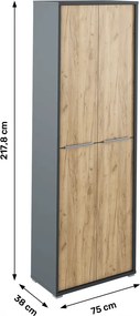 Dulap înalt cu poliţe, grafit / stejar artizanal, RIOMA NEW TYPE 05