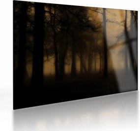 Tablou pe sticlă - Pădurea întunecată (70x50 cm)