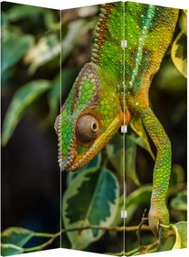 Paravan - Cameleon (126x170 cm)