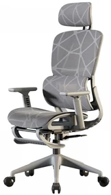 Scaun ergonomic, functie translatie sezut, cotiere reglabile 3D, tetiera 3D, suport lombar reglabil, spătar reglabil inaltime, pivotant, suport picioare, Gri