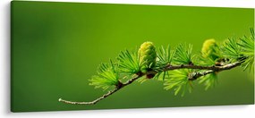 Tablou con verde (120x50 cm)