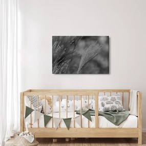 Tablou - Iarbă de pampas uscată (90x60 cm)