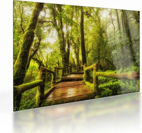 Tablou pe sticlă junglei cu mușchi (70x50 cm)