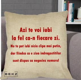 Cadou pentru Iubita - Perna Personalizata Azi Te Voi Iubi, 40x40 cm, Crem, Husa Detasabila, Perna Inclusa, BEKZ®