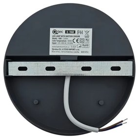 Aplica LED de exterior cu senzor de mișcare, 18W, 230V, IP44, antracit