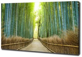 Print pe pânză Pădure de bambus