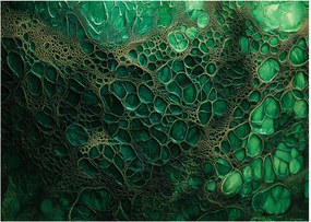 Tablou pe sticlă - Imagine microscopică verde (70x50 cm)