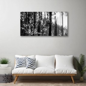 Tablou pe panza canvas Forest Nature Gray