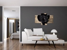 Tablou cu cățeluș negru (90x60 cm)