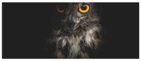 Tablou cu bufnița (120x50 cm)