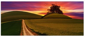 Tablou câmpului cu apus de soare (120x50 cm)