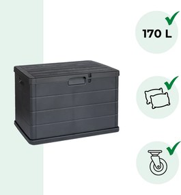 Cutie de depozitare BETA, 170L, 78x55x52cm, antracit I.P.A.E-Progarden