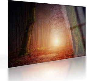 Tablou pe sticlă cu pădurea toamna în ceață (70x50 cm)