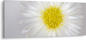 Tablou - Margarita (120x50 cm)