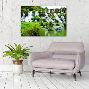 Tablou - cascade cu plante (90x60 cm)