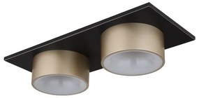 Plafoniera LED negru sampanie RAYMOND 2L