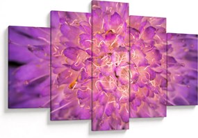 Tablou detailat cu floare (150x105 cm)