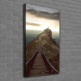 Tablou pe pânză canvas Calea pe stâncă