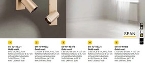 Aplica Spot stil minimalist modern SEAN auriu