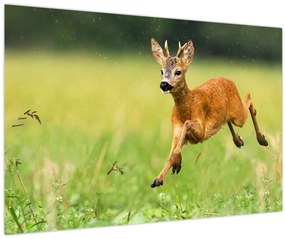 Tablou - Haită (90x60 cm)