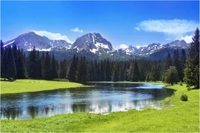 Tablou - vâfurile montane înzăpezite (90x60 cm)