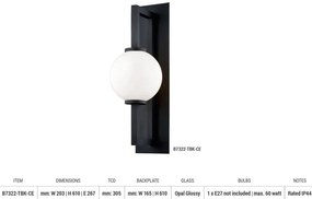 Aplica de perete design modern DARWIN