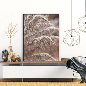 Poster - Florile plantei (A4)