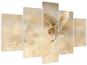 Tablou - Bufniță (150x105 cm)