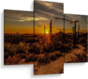 Tablou - Sfărșit de zi în deșertul Arizona (90x60 cm)