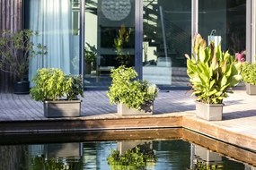 Jardinieră auto-udare Berberis DUO, teracota