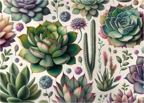 Tablou - Plante suculente (70x50 cm)