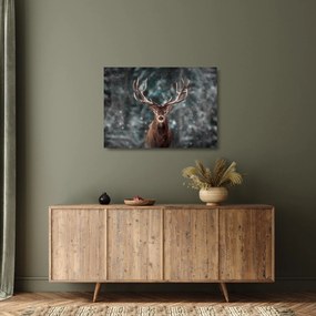 Tablou pe sticlă - Cerbul majestic (70x50 cm)