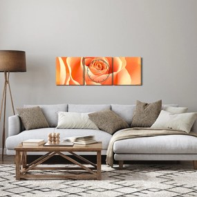 Tablou - Imaginea- Trandafiri, culoarea caisei (cu ceas) (90x30 cm)