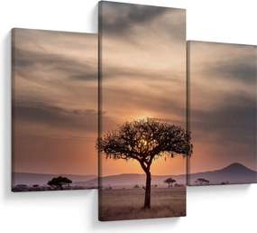 Tablou apusului de soare în Tanzania (90x60 cm)