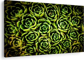 Tablou cu flori de piatră (90x60 cm)