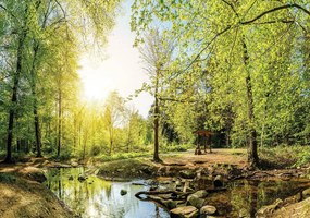Fototapet - Pădurea verde (152,5x104 cm)