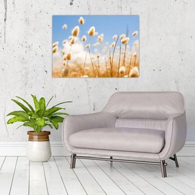 Tablou - Câmp de aur (70x50 cm)