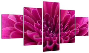 Tablou cu  floare (125x70 cm), în 40 de alte dimensiuni noi