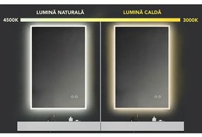 Oglinda Fluminia, Miro 60, dreptunghiulara, cu LED, 2 culori, dezaburire, 60 cm