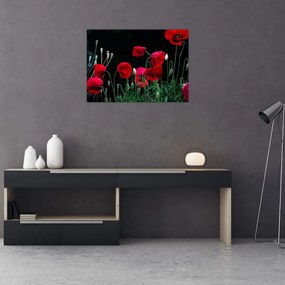 Tablou pe sticlă - Dansul macilor (70x50 cm)