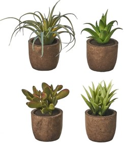 Plante artificiale 4 buc. (înălțime 10 cm) Cactus – Casa Selección