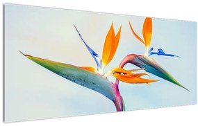 Tablou cu floarea Strelicie (120x50 cm)