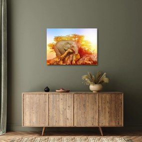 Tablou - Animale africane (70x50 cm)